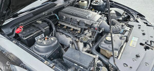 Ford Mustang GT California Special - 2006