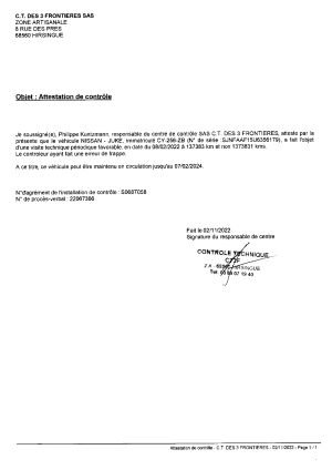 Nissan Juke Nismo - 2013