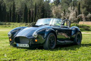 AC Cobra Roadster - 2012