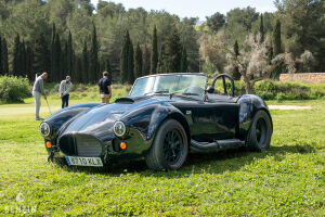 AC Cobra Roadster - 2012