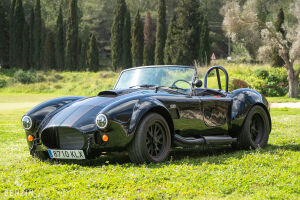 AC Cobra Roadster - 2012