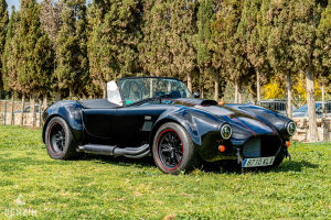 AC Cobra Roadster - 2012