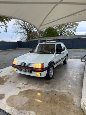 Peugeot 205 GTI 1.6 105 - 1984