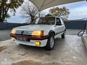 Peugeot 205 GTI 1.6 105 - 1984