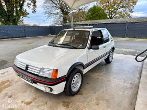 Peugeot 205 GTI 1.6 105 - 1984