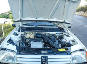 Peugeot 205 GTI 1.6 105 - 1984