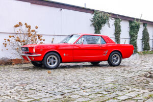 Ford Mustang - 1966