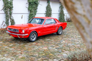 Ford Mustang - 1966