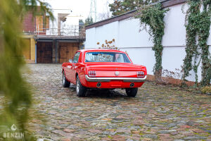 Ford Mustang - 1966
