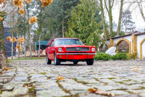 Ford Mustang - 1966