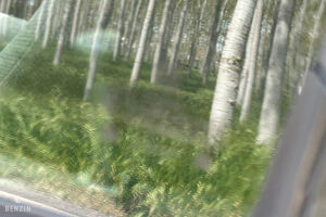 Volkswagen Golf 2 GTI - 1991