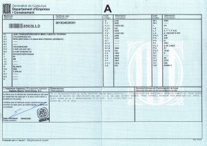 Volkswagen T4 Syncro Multivan - 1994