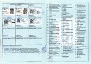 Volkswagen T4 Syncro Multivan - 1994