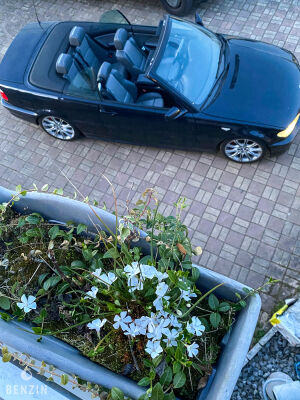 BMW 330ci e46 Special Edition - 2005