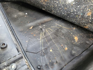 Renault Car Système Style JP4 - 1987