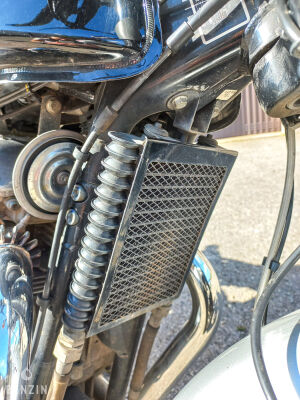 Royal Enfield Continental GT650 - 2019