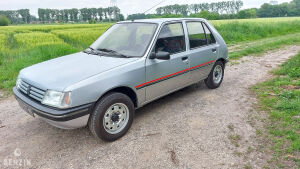 Peugeot 205 Sacré Numéro - 1994