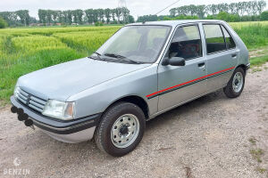 Peugeot 205 Sacré Numéro - 1994