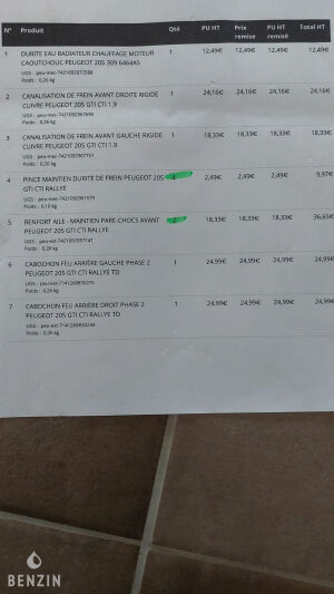 Peugeot 205 Sacré Numéro - 1994