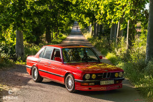 BMW 528i e28 Alpina B9 replica - 1984