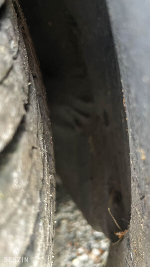 Volkswagen Golf 1.8 Cabriolet Quartett - 1991