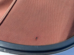 Mazda MX5 NBFL 1.8 Phoenix - 2002