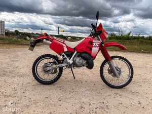 Suzuki TSR 125 7000km - 1990 by Saad GDB