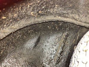 Autobianchi Bianchina Cabriolet - 1963