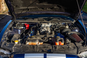 Ford Mustang Shelby GT500 Cabriolet - 2012