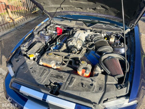 Ford Mustang Shelby GT500 Cabriolet - 2012