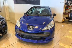 Peugeot 207 Lightweight - 2008