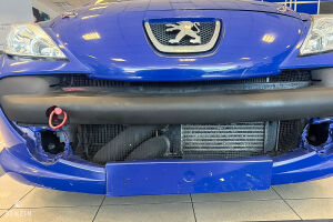 Peugeot 207 Lightweight - 2008