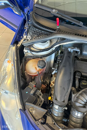 Peugeot 207 Lightweight - 2008