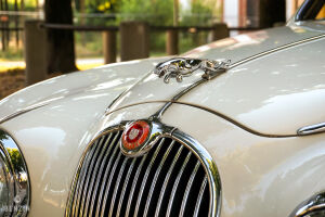 Jaguar Mk1 3.4 - 1959