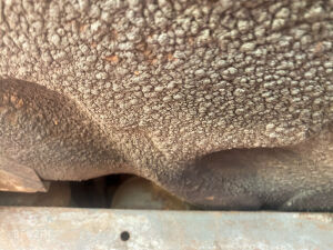 MG 1300 SALOON - MK1 - 1968