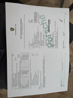 Porsche 911 type 992 GT3 "Salzburg Edition" - 2022