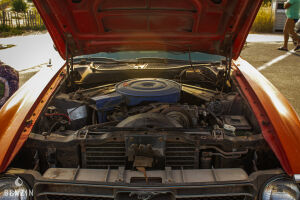 Ford Mustang Cabriolet - 1971