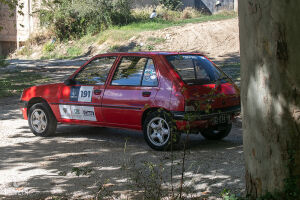 Peugeot 205 Sacré Numéro D - 1994
