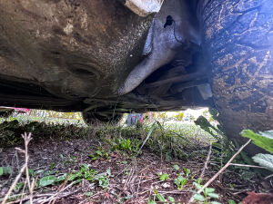 Peugeot 205 1.4 GR - *Projet