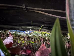 Peugeot 205 1.4 GR - *Projet