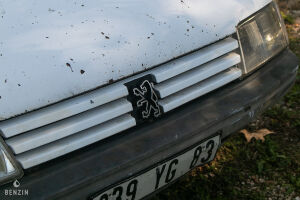 Peugeot 205 F - 1996 *Projet