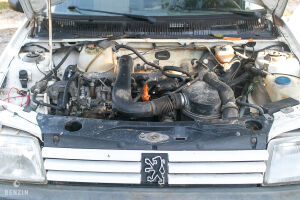 Peugeot 205 F - 1996 *Projet