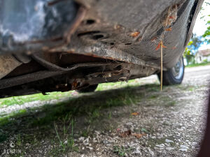 Mercedes-Benz 280se W116 Projet