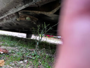 Mercedes-Benz 280se W116 Projet