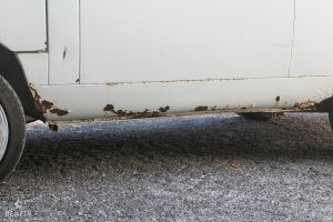 Fiat 850 T Projet - 1968