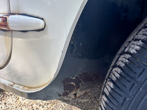 Mini Morris 850 Traveller Projet - 1966