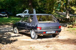 Peugeot 205 D-Turbo Swap - *Projet