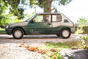 Peugeot 205 Roland Garros - 1991 *Projet