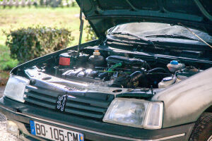 Peugeot 205 Roland Garros - 1991 *Projet