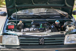 Peugeot 205 Roland Garros - 1991 *Projet